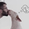Kisah Anjing yang Punya Rasa Setia Lebih dari Manusia